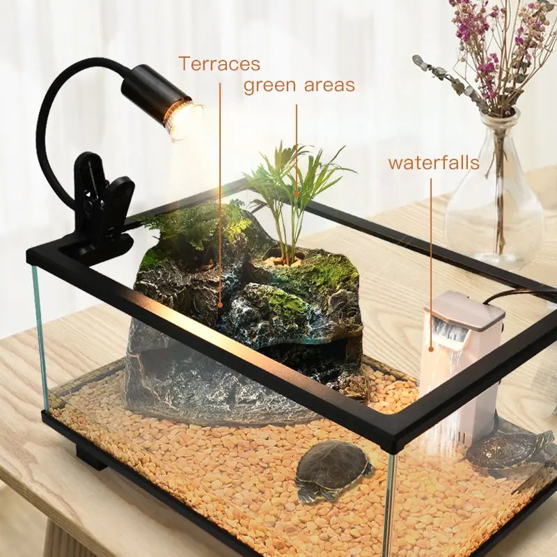 Wholesale Glass Fish Tank Black and White Edge Transparent with LED Light Turtle Tank Aquarium
