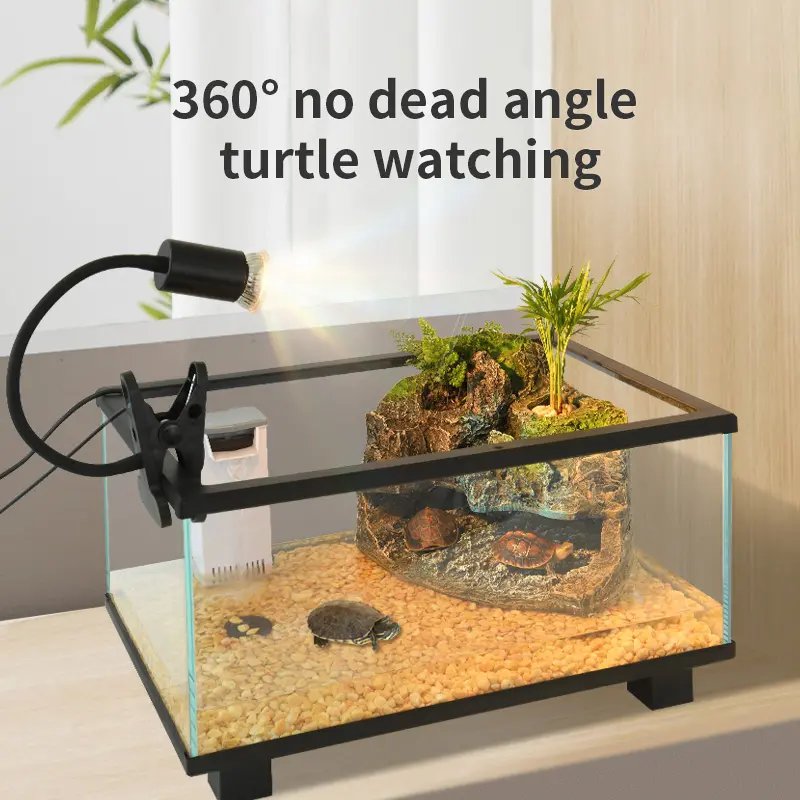 Wholesale Glass Fish Tank Black and White Edge Transparent with LED Light Turtle Tank Aquarium