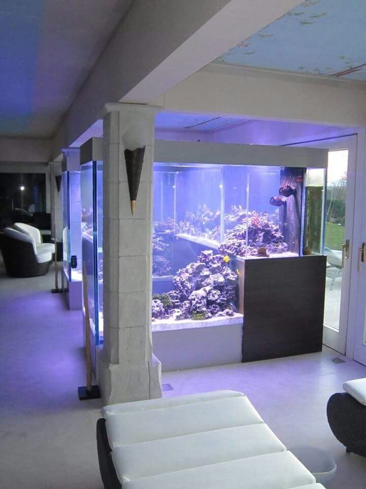 reef led saltwater aquarium 20 gallon bubbles saltwater fish tank aquariums accessories saltwater aquarium
