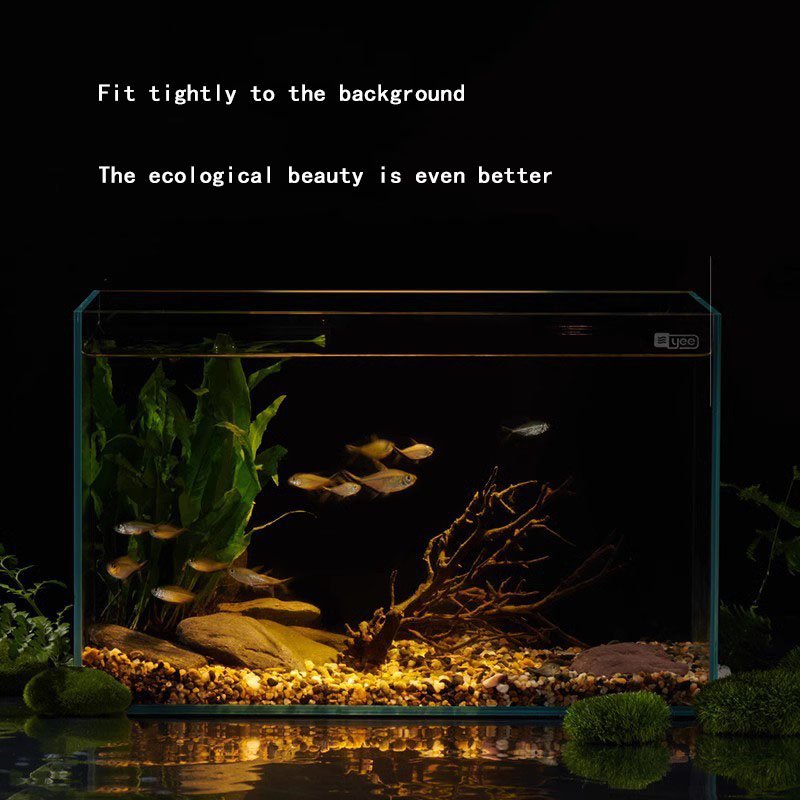 Wholesale Custom Large Acrylic Aquarium Fish Tank High Quality Cylinder Shape with Water Usage Made from Plastic Material
