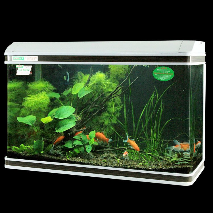 Custom Large fish tanks clear glass LED lighting arming tanks complete filtration system aquarium