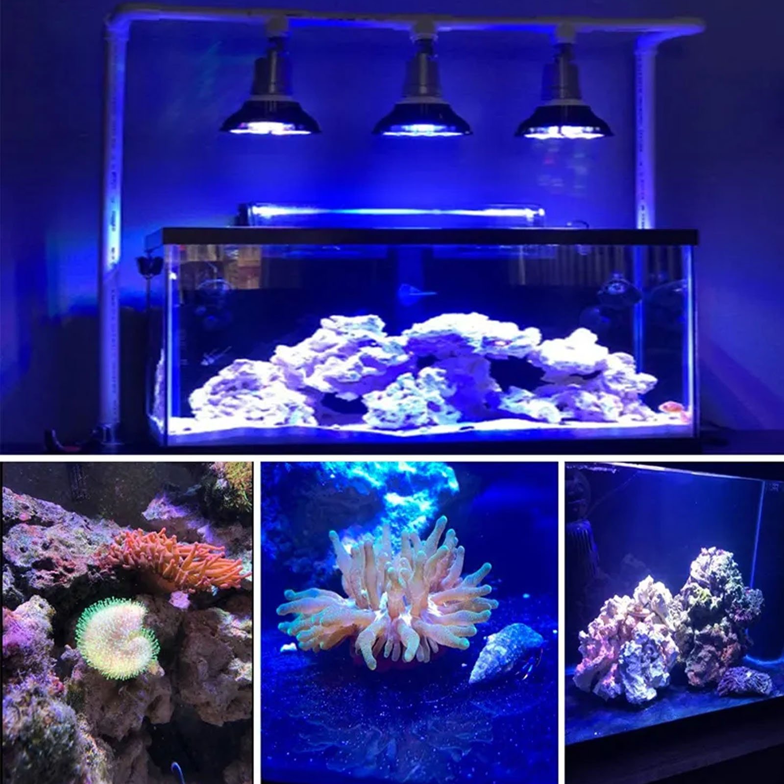 Cusomik 54w par38 freshwater and saltwater led aquarium light for coral reef light full spectrum indoor arowana tanning light