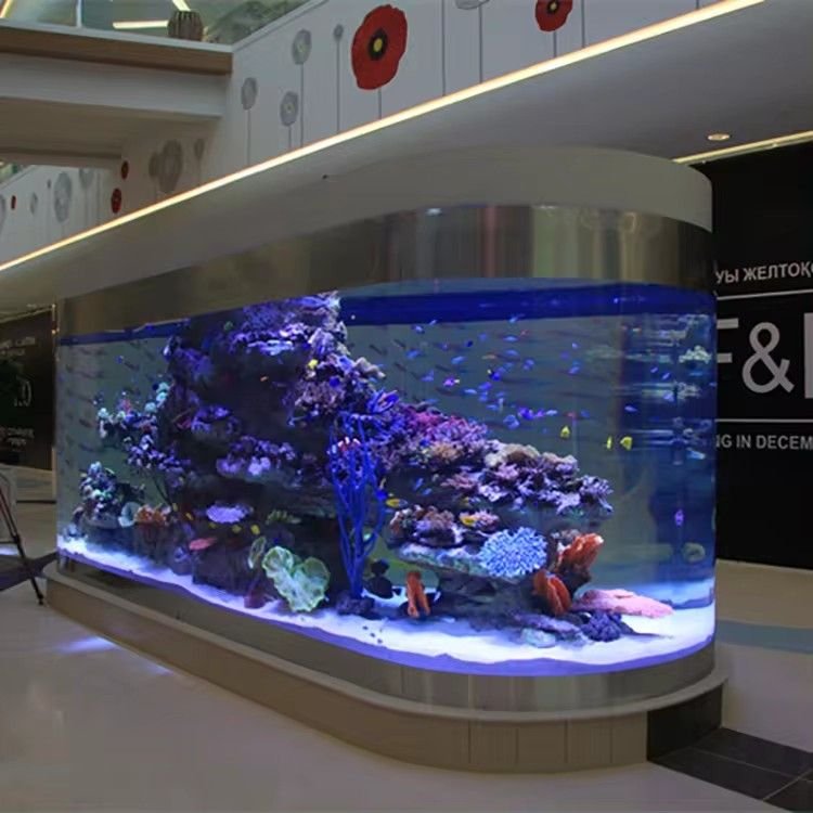 Oval Shape Acrylic Fish Tank round Acrylic Betta Fish Tank for Indoor House