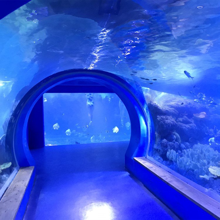 2020 Hot selling plastic plexiglass sheets acrylic swimming pools