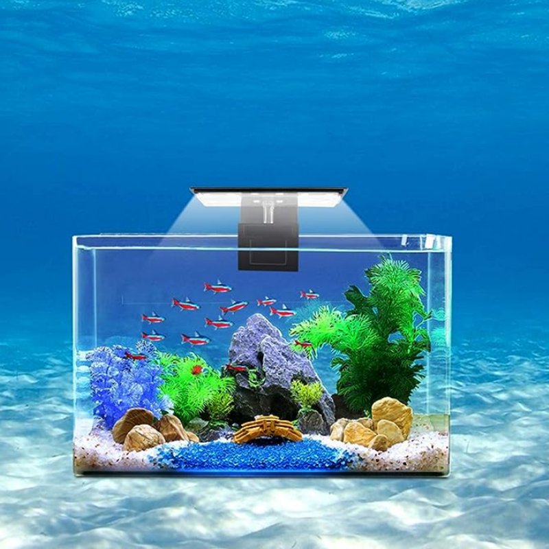 Roxin Aquarium Small Light Fish Tank LED Light 6W Planted Clip Lamp for 8-15inch 6mm Thick Mini Fish Tanks X3