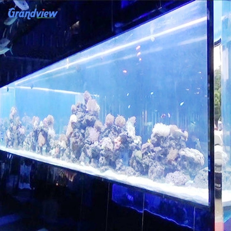 large diameter cylinder round curved clear acrylic glass tube tanks aquariums