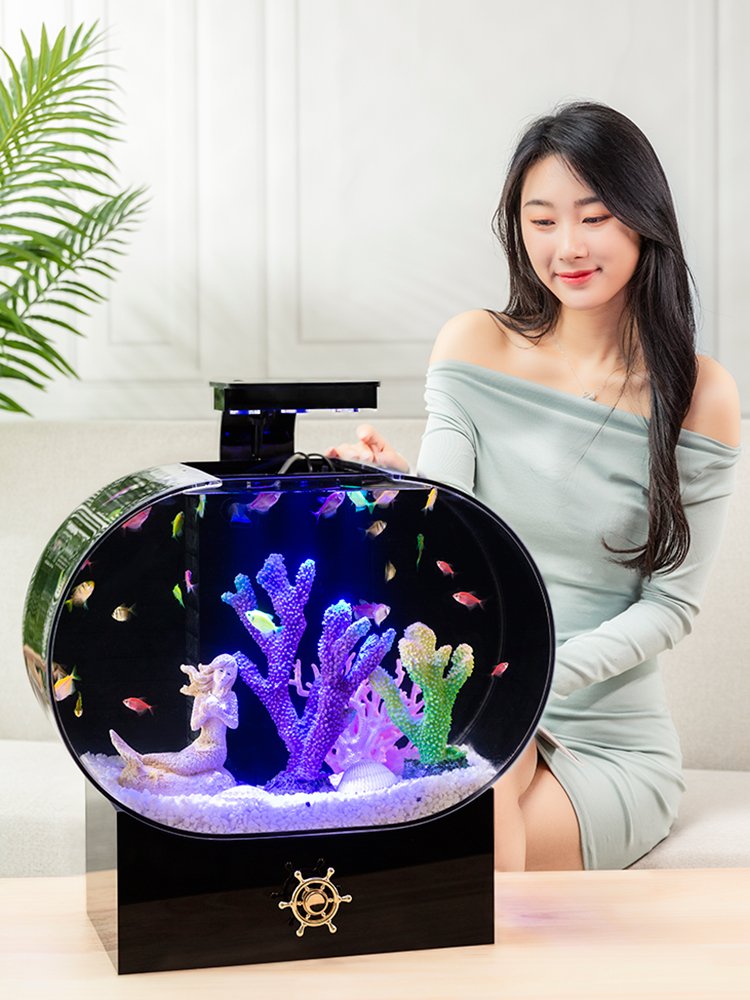 LED lighting optical explosion-proof acrylic fish tank transparent ornamental fish tank custom style aquarium tank fish