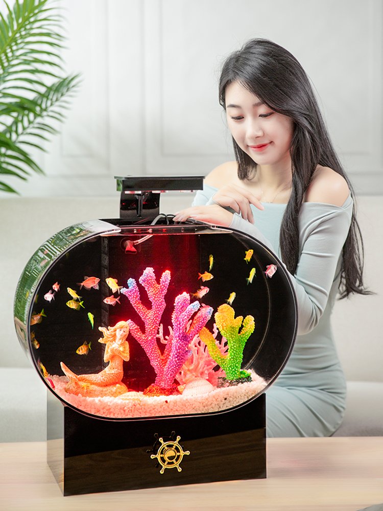 LED lighting optical explosion-proof acrylic fish tank transparent ornamental fish tank custom style aquarium tank fish