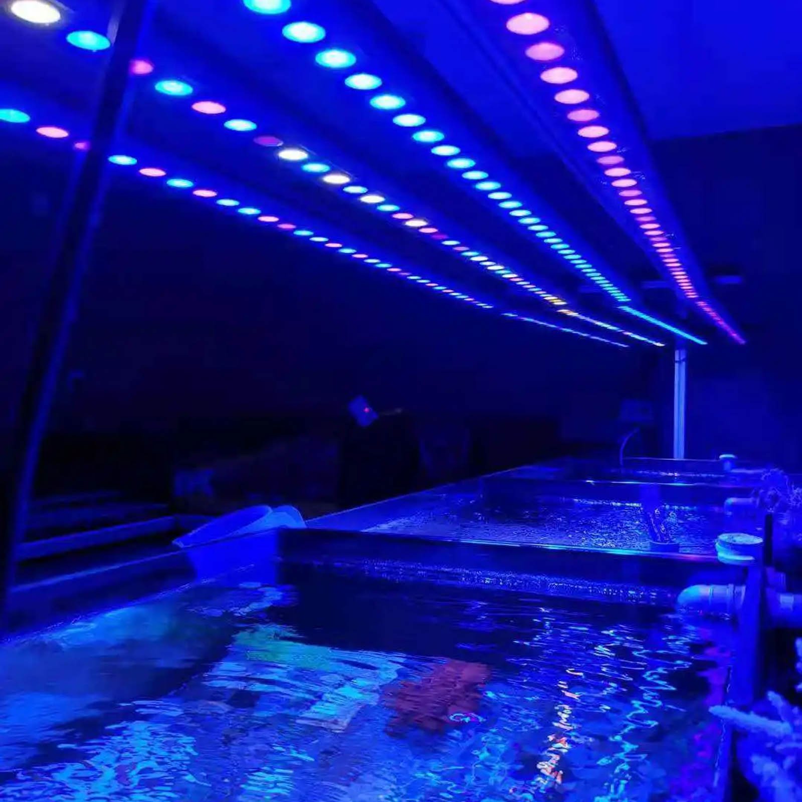 Liweida 25w 35w 45w 55w full spectrum blue uv led aquarium light 8-12H timer and 10-100% dimming coral reef bar saltwater light