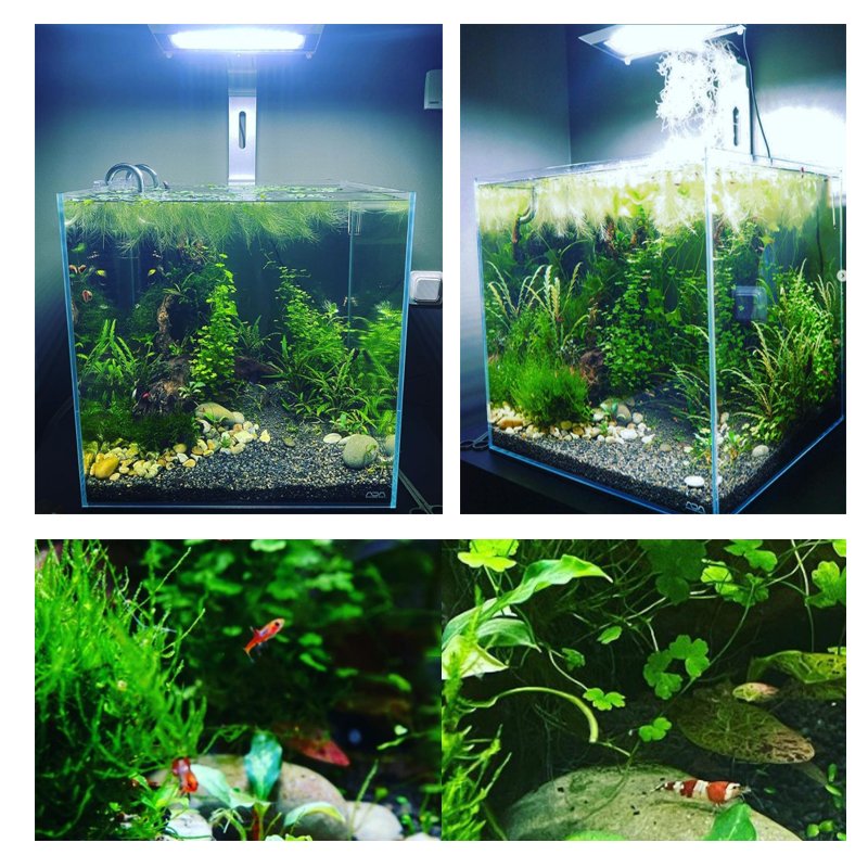 MICMOL G3 Aqua Air Full Spectrum Warm White Planted Aquarium Lights for Live Fish Planted Aquatic Tank