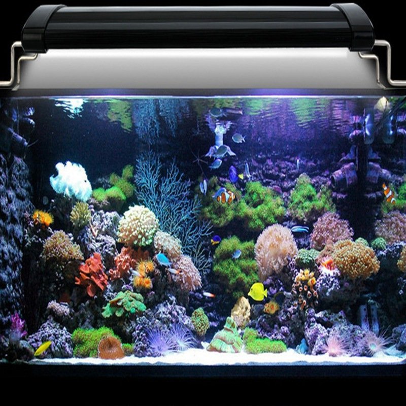 Cheap Plant Tank LED Light Underwater Fish Tank Lamp Aquariums Decor Lighting Plant Grow Lamp