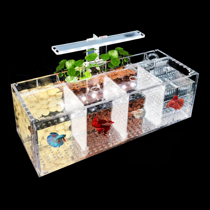 Aquarium Acrylic isolation small fish tank Breeding incubator lnBox Water-free Desktop