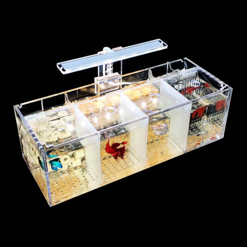 Aquarium Acrylic isolation small fish tank Breeding incubator lnBox Water-free Desktop