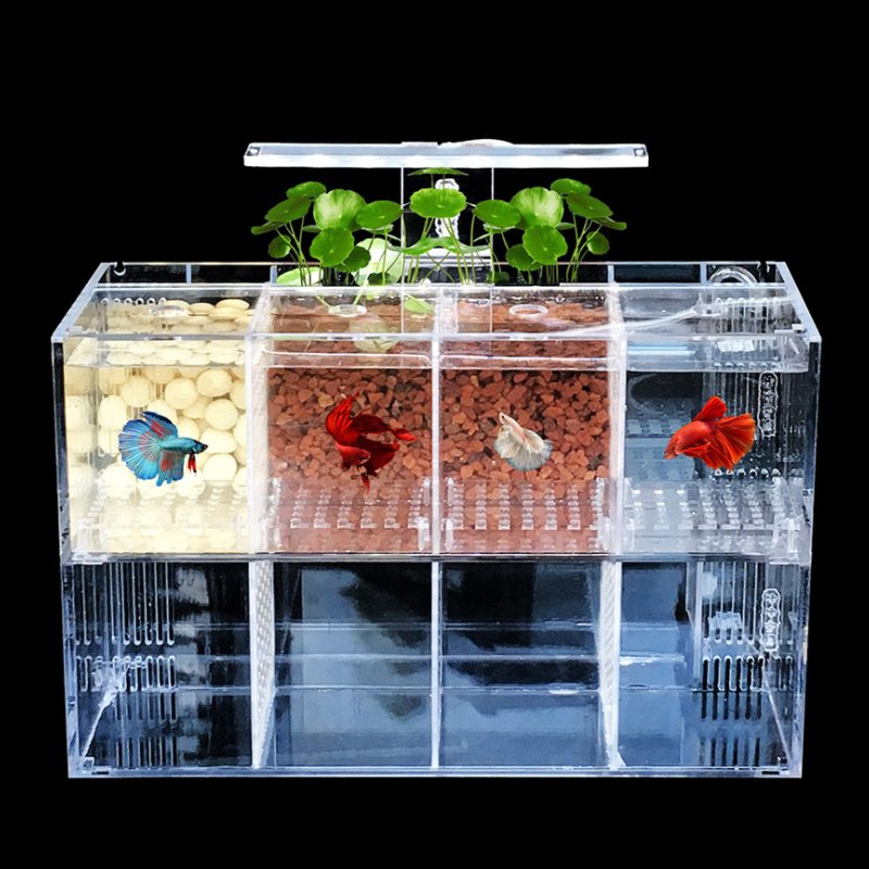 Aquarium Acrylic isolation small fish tank Breeding incubator lnBox Water-free Desktop