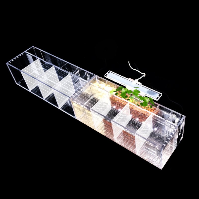 Aquarium Acrylic isolation small fish tank Breeding incubator lnBox Water-free Desktop