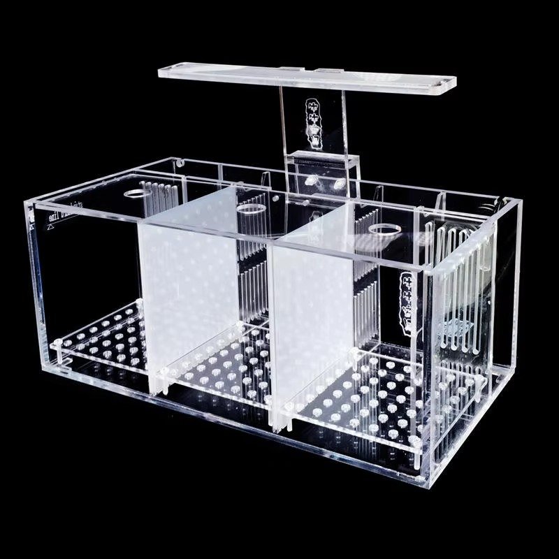 Aquarium Acrylic isolation small fish tank Breeding incubator lnBox Water-free Desktop