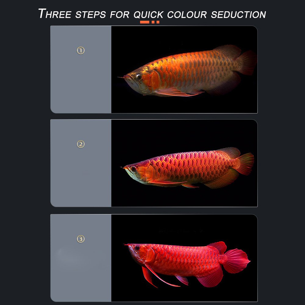 Underwater Fish Tank Light tanning light for Arowana/Betta Fish Tanks waterproof lamp 92/112/142/180cm Arowana light