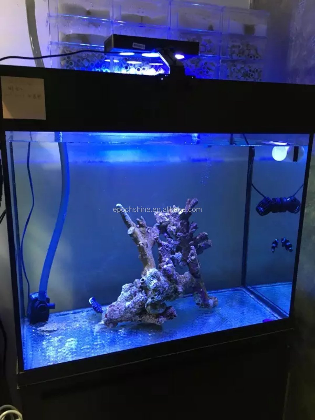 Aquarium Reef LED Light 30W A029 Aqua Knight V1 Marine Saltwater Coral LED Light Touch Control for Nano Tank LPS SPS FOT Tank