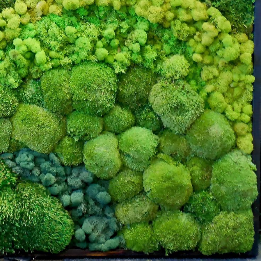 Artificial Preserved Art Panel Natural Reindeer Live Decoration Plants Stabilized Decorative Frame Preserved Moss Wall