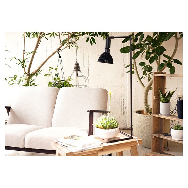 Enormous Recommendations Extremely Thin Frame Led Lamp Base Adjusted Angle Decorate Light