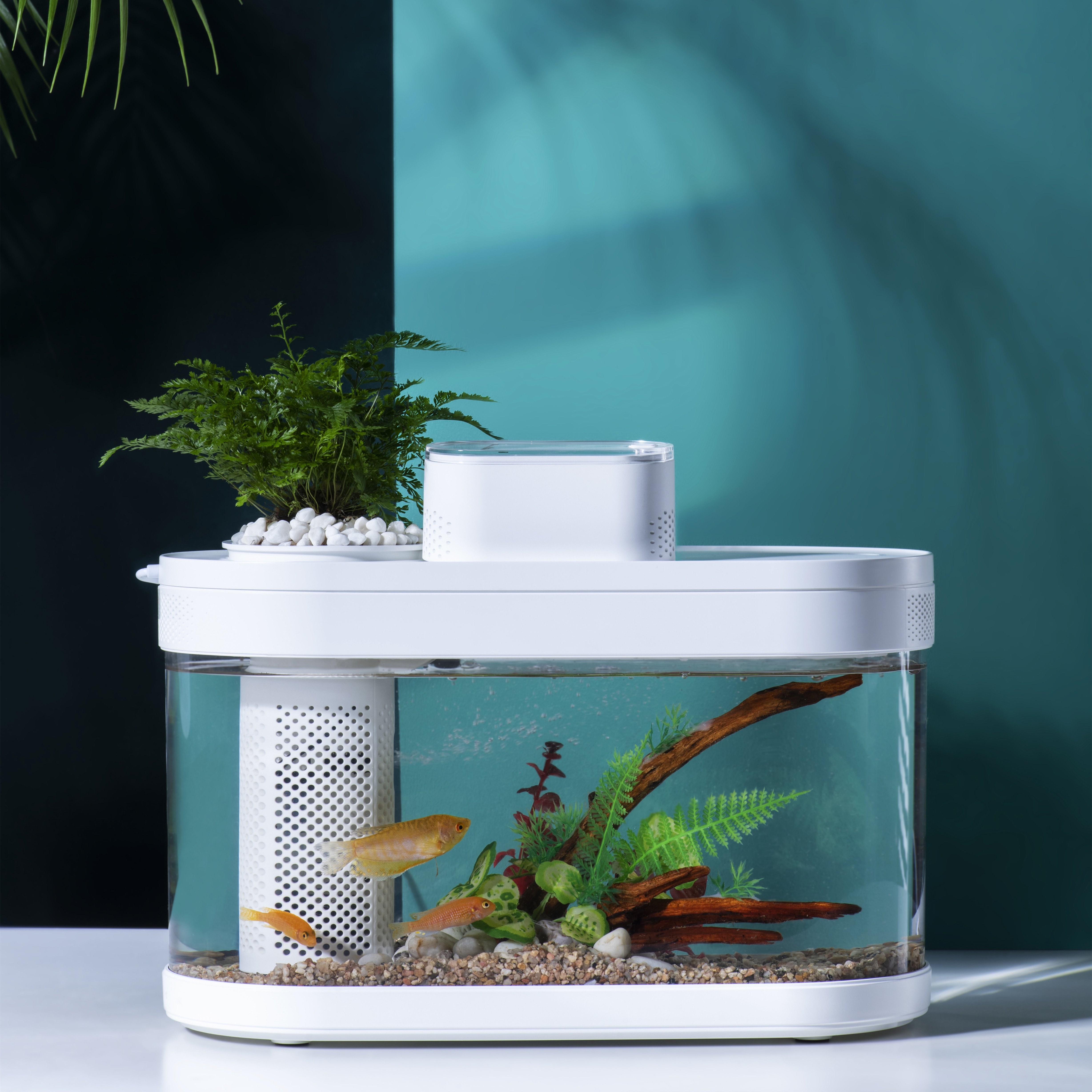 DESGEO Geometry Amphibious Eco Fish Tank Pro Automatic With WIFI Box Gamut Lighting Fish Farming Tank C180