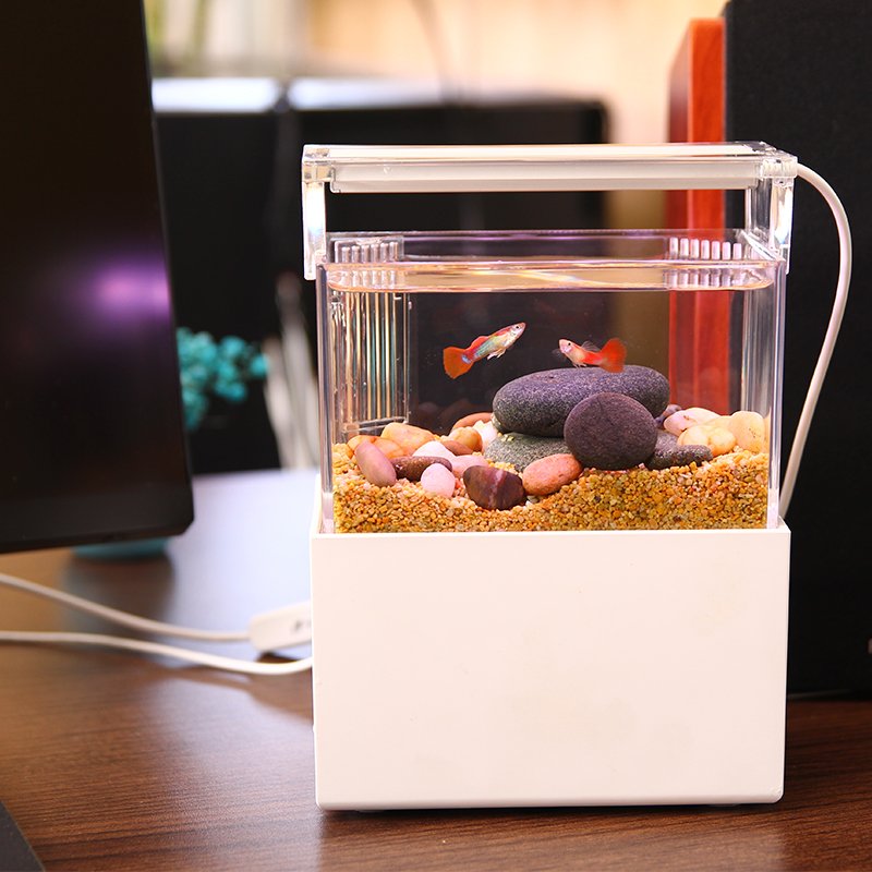 Hot-Selling Mini fish tank Aquarium small fish tank mini aquarium light Acrylic material office decoration high quality