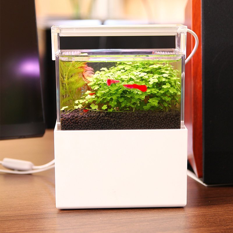 Hot-Selling Mini fish tank Aquarium small fish tank mini aquarium light Acrylic material office decoration high quality