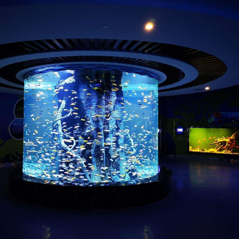 Large marine acrylic fish tank home living room aquarium 200 Gallon Fish Aquarium