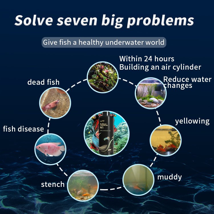 5L/ Barrel Bioqueen N1 Aquatic Autotrophic Nitrifying Bacteria Light Yellow Liquid Nitrifying Bacteria