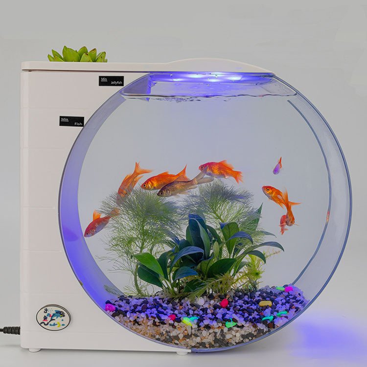 Top Selling China Mini Fish Tank with LED light on the table 10L Aquarium Cabinet for Home Pets Aquariums