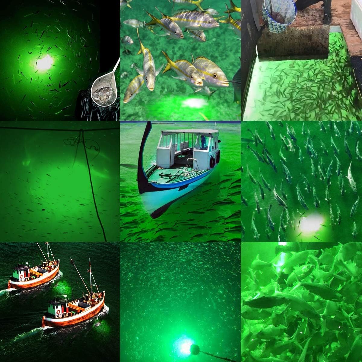 12V LED Fishing Lights 15W Fish Attracting Night Lamp Yellow Blue Green White 5M LED Underwater Fishing Light For Boats Aquarium