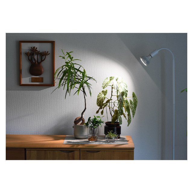 Bulk Selling Good Quality TSUKUYOMI 10W Underwater Plants Growing Led Full Spectrum Aquarium Light