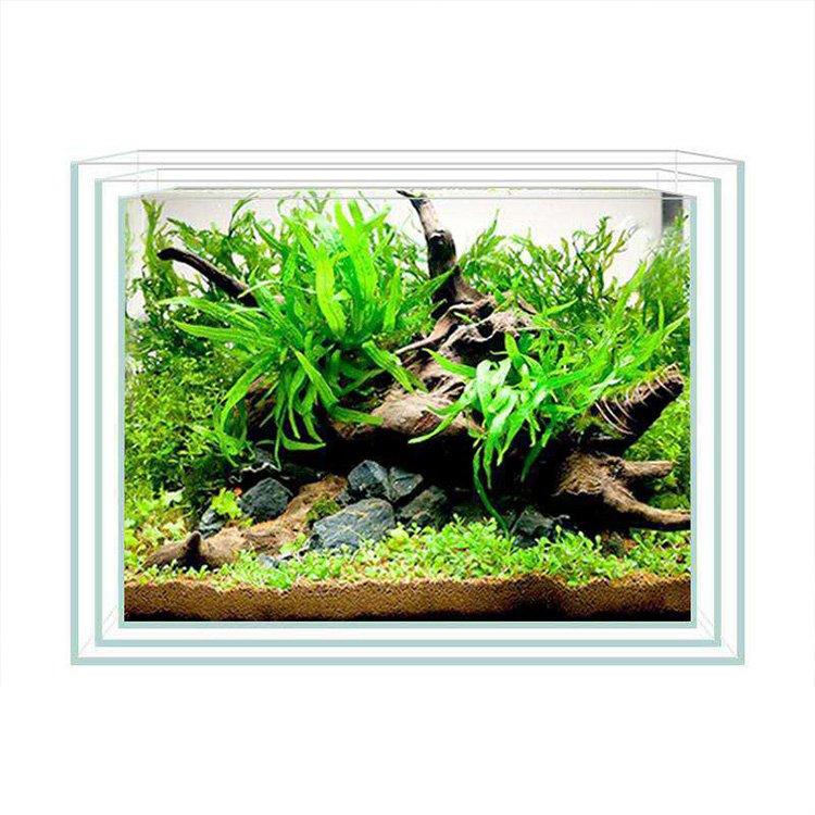 Clear and Transparent Small Aquarium Tank Rubber Strip Uniform White Glass Fish Tank Aquarium Glass