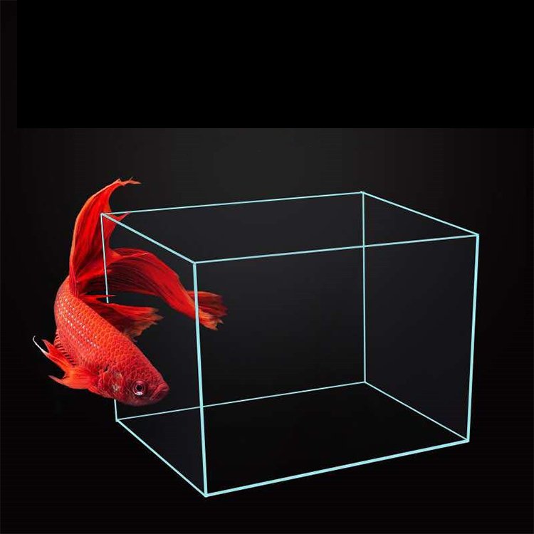 Clear and Transparent Small Aquarium Tank Rubber Strip Uniform White Glass Fish Tank Aquarium Glass