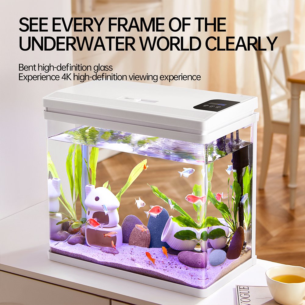 Factory wholesale smart aquariums small glass fish tanks with filter and led fish tank light