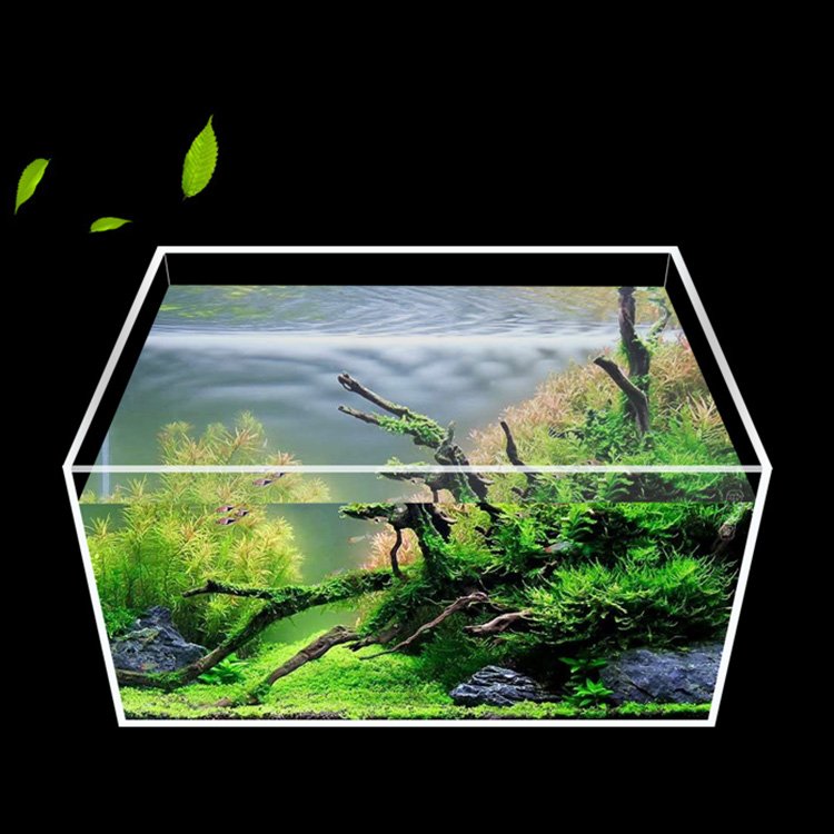 Factory Wholesale Aquarium Accessories Fish Farming Tank Clear Square Glass Aquariums Customized Glass Desktop Fish Tank