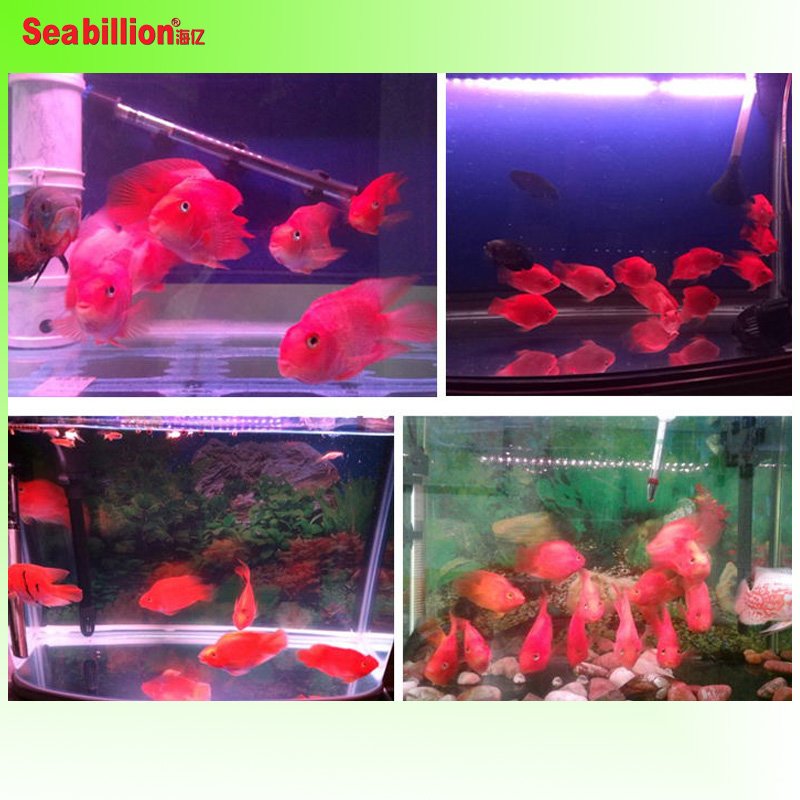 High-quality T4-LED submersible colorful arowana fish tank aquarium lamp with remote control and manual