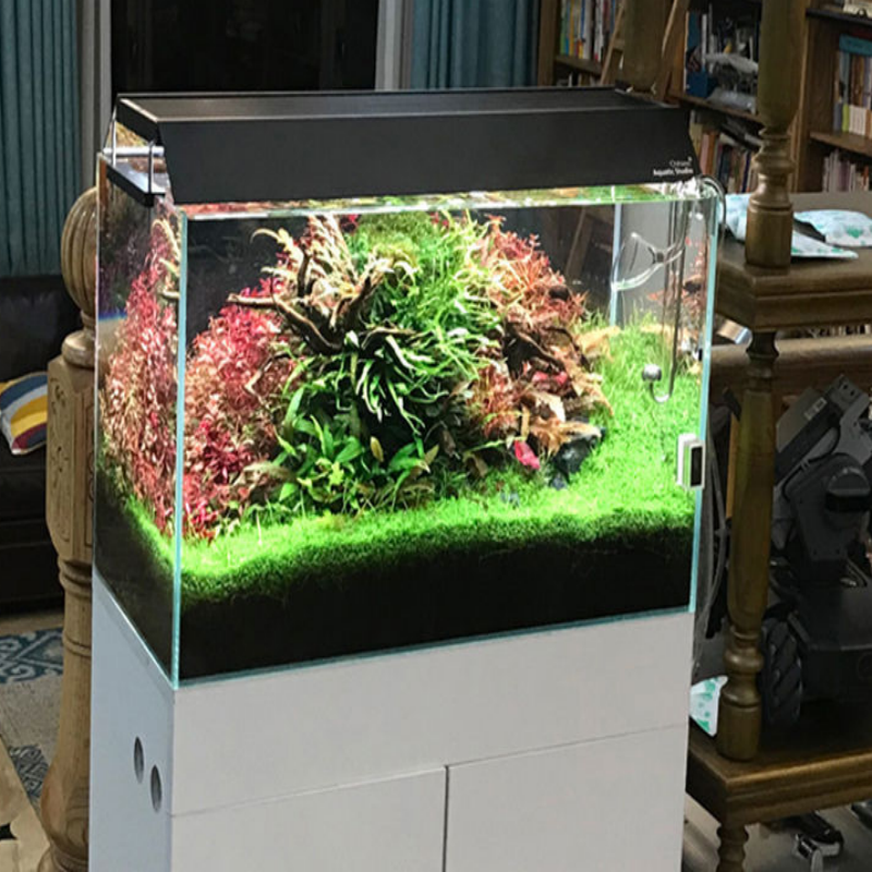 Chihiros WRGB 2 II LED Aquarium Light Upgrade RGB Full Specturn APP Control Aquarium Lighting Fish Tanks Accessories