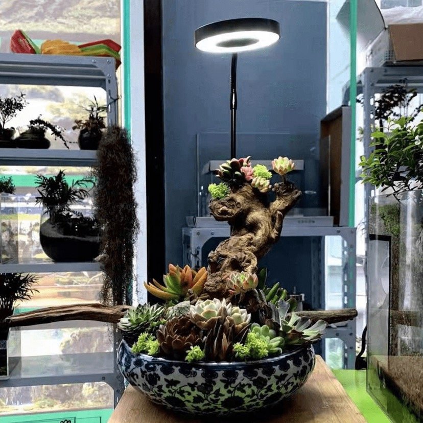 wholesale mini usb 6w clip on fish tank led light lamp freshwater wrgb full spectrum live plant moss algae