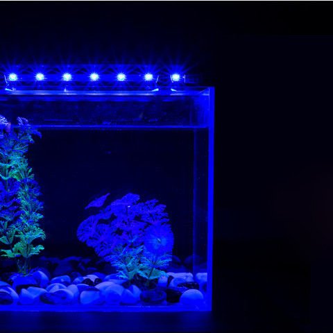 3.5W-10W Submersible Aquarium LED Light Underwater Landscape LED Light For Arowana Goldfish