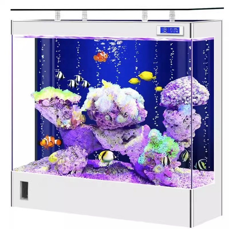 Factory customized processing glass, acrylic large and medium-sized fish tank, small fish tank display fish tank aquarium