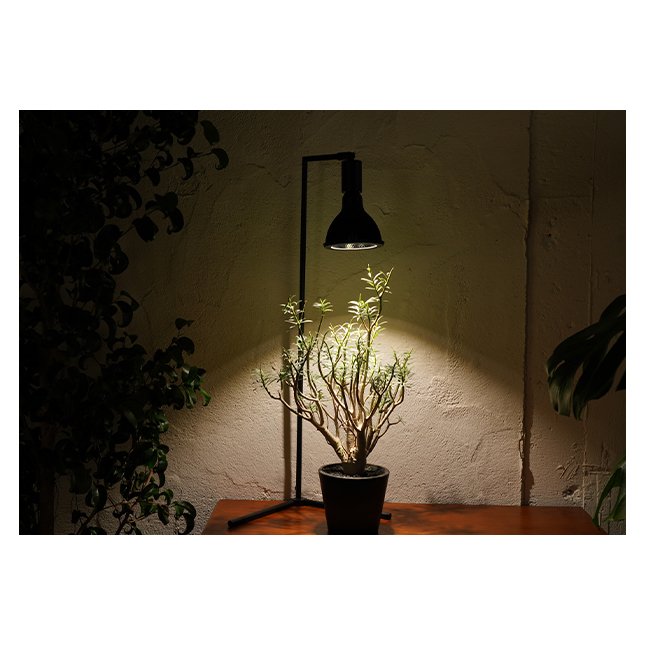 Good Work Highly Recommended Extremely Thin Frame Adjusted Angle Base LED Floor Lamp Standing