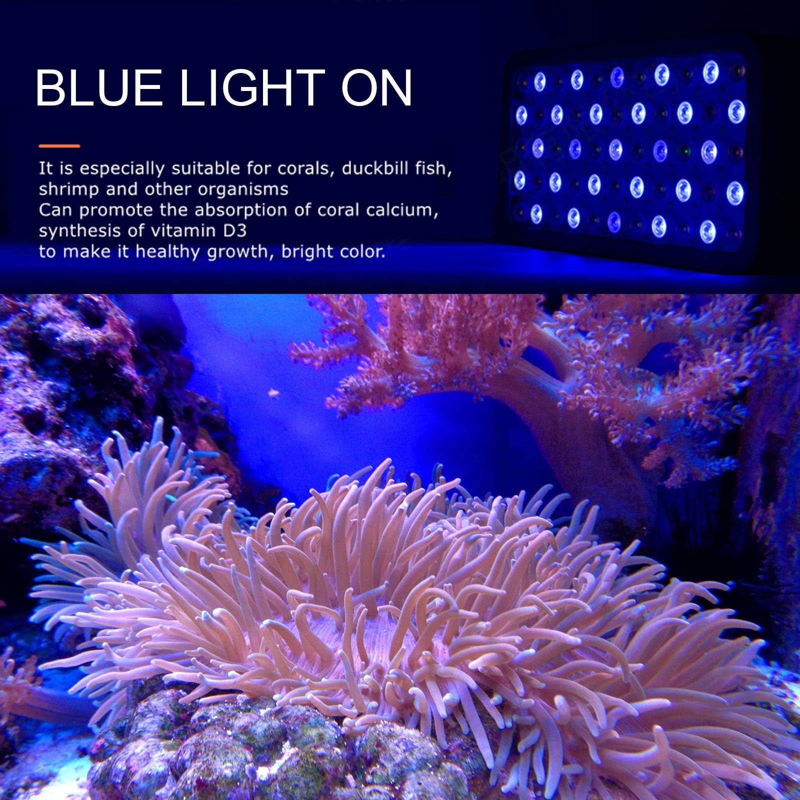 Liweida 2 dim&2 switches full spectrum panel wrgb led aquarium lights 3w*55pcs sheet metal salt and water lamp for marine coral