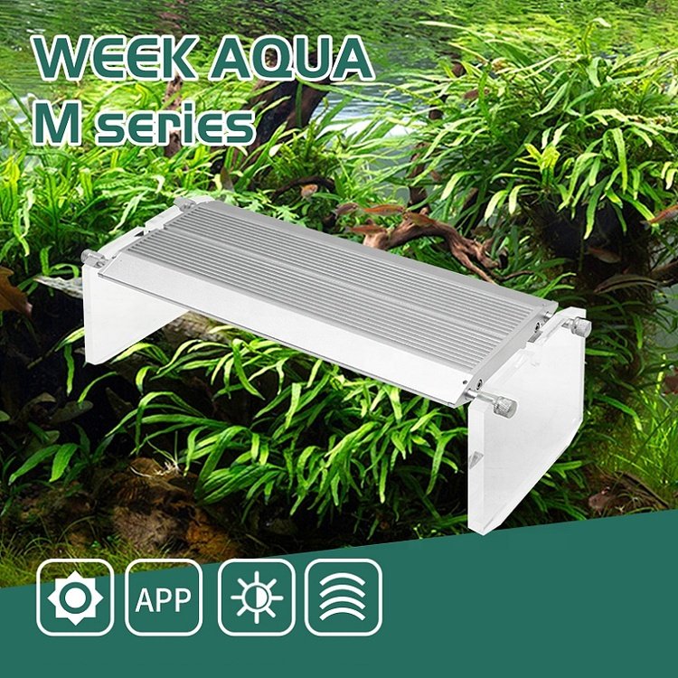 APP Control RGB M Series led aquarium light for Nano aquarium light with cycle timer Nano Tank