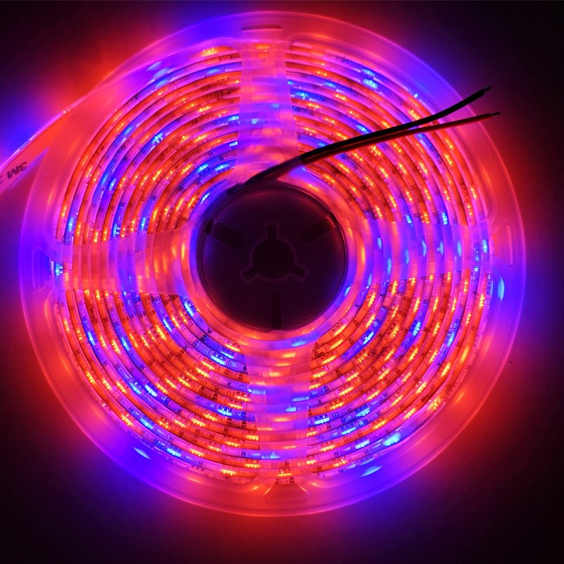 5M LED Plant Grow Light SMD 5050 hydroponic Systems Grow Led Bar Light Flowers and plant Waterproof DC 12V Led Grow Strip Light