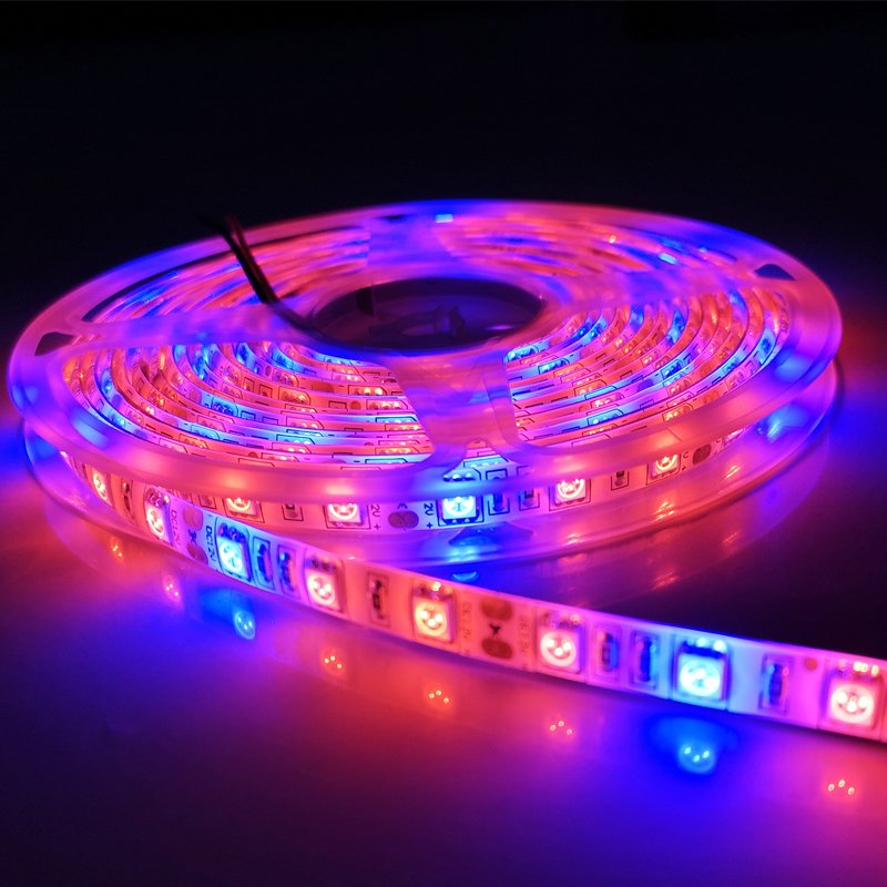 5M LED Plant Grow Light SMD 5050 hydroponic Systems Grow Led Bar Light Flowers and plant Waterproof DC 12V Led Grow Strip Light