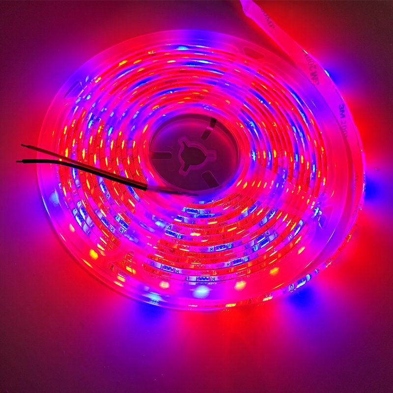 5M LED Plant Grow Light SMD 5050 hydroponic Systems Grow Led Bar Light Flowers and plant Waterproof DC 12V Led Grow Strip Light