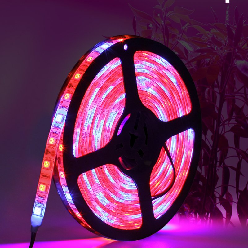 5M LED Plant Grow Light SMD 5050 hydroponic Systems Grow Led Bar Light Flowers and plant Waterproof DC 12V Led Grow Strip Light