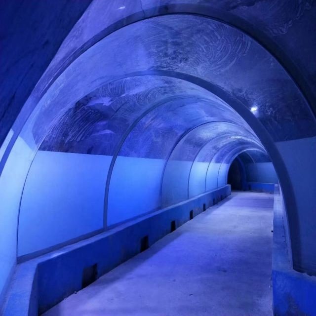 Zhejiang Acrylic Manufacturer Transparent Curve Acrylic Panels for Undersea Restaurant Public Aquarium