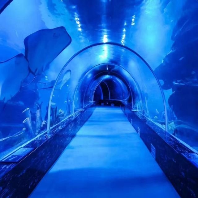Zhejiang Acrylic Manufacturer Transparent Curve Acrylic Panels for Undersea Restaurant Public Aquarium